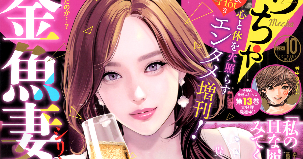 私のHな履歴書みてください1〜10巻セット・金魚妻1〜12巻セット計22冊セット 私のHな履歴書みてください1〜10巻セット・金魚妻1〜12巻